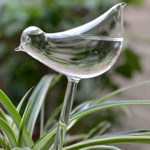 Garden Plants Flowers Water Feeder Automatic Self Watering Devices Clear Glass Water Feeder Bird Shape Watering Devices