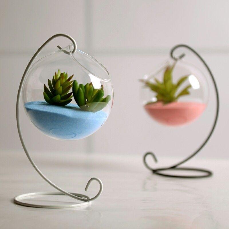 Flower Plant Clear Glass Vase Hanging Planter Terrarium Container Party Wedding Decor Bottle Pot Home Garden Ball Round Vase New