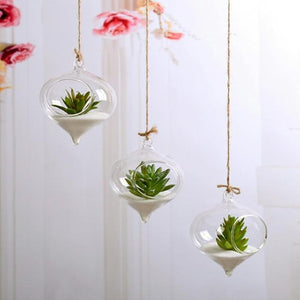 Flower Plant Clear Glass Vase Hanging Planter Terrarium Container Party Wedding Decor Bottle Pot Home Garden Ball Round Vase New