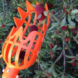 Picking Tool Tool Horticultural Fruit Picker Hardware Gardening Apple Farm Plastic Garden Quicker Fruit Cathcer Outside