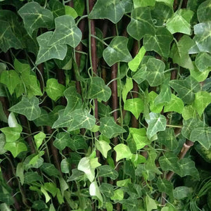 Artificial Green Leaf Plant Vine Artificial Fabric Silk Ivy False Vine Boston Ivy Festival Party Family Garland Vine Decoration