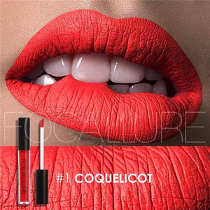 Pro Makeup Waterproof liquid lipstick Batom Colourful Maquiagem