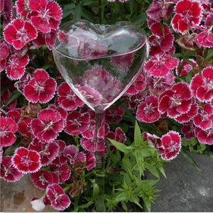 6 Types Glass Plant Flowers Water Feeder Automatic Self Watering Devices Bird Star Heart Design Plant Waterer